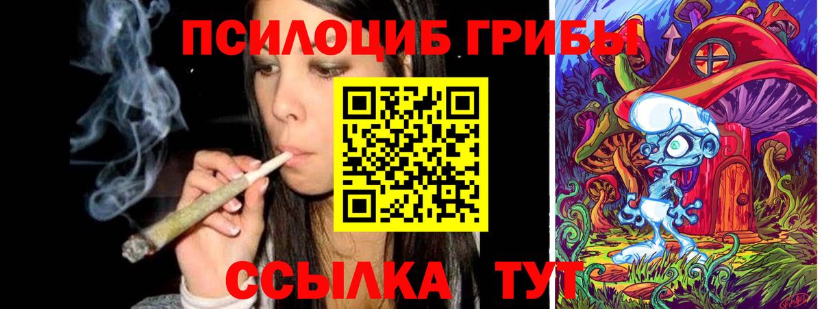 Псилоцибиновые грибы Magic Shrooms Боровичи