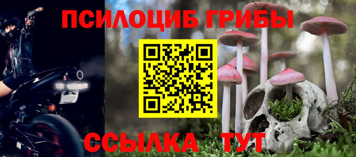 где купить наркоту  Галлюциногенные грибы Psilocybine cubensis  Вход с VPN  Боровичи 